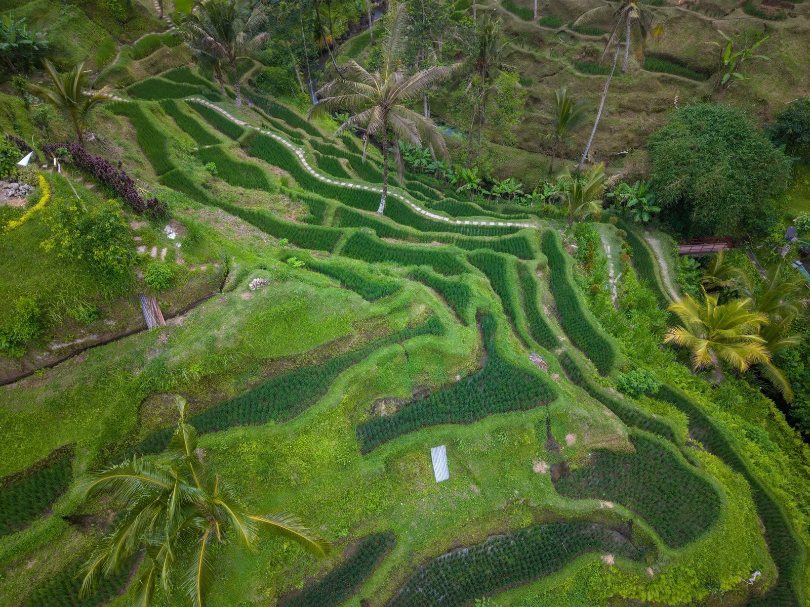 Bali, Indonesia